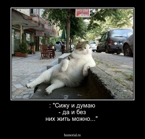 : "Сижу и думаю - да и без них жить можно..."