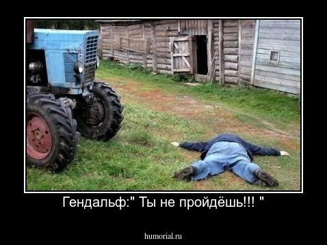 Гендальф:" Ты не пройдёшь!!! "