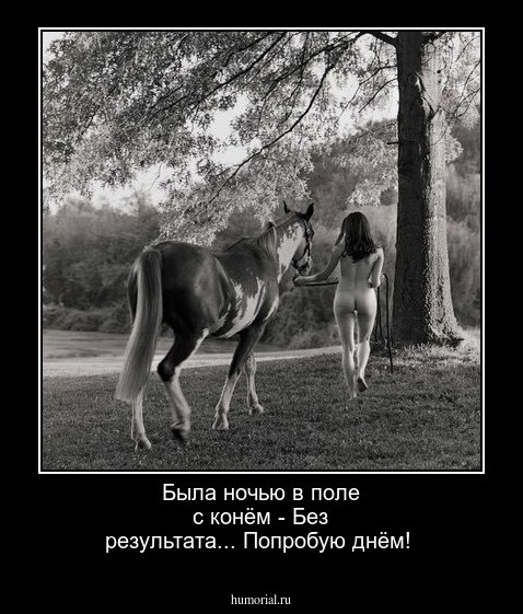 Была ночью в поле с конём - 
Без результата...
Попробую днём!