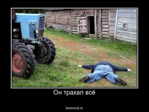 Он трахал всё