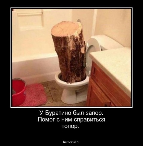  У Буратино был запор. Помог с ним справиться топор.