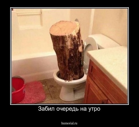 Забил очередь на утро