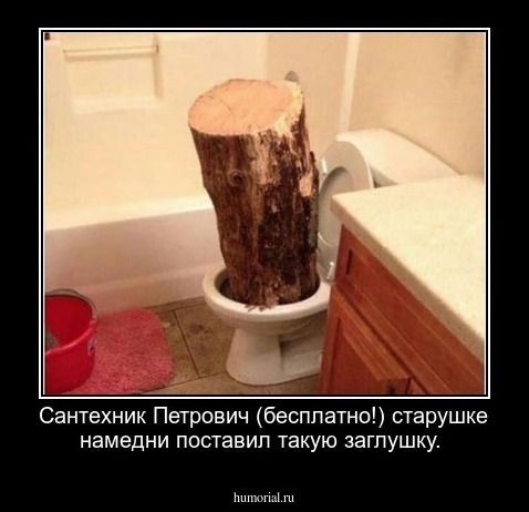  Сантехник Петрович (бесплатно!) старушке намедни поставил такую заглушку.