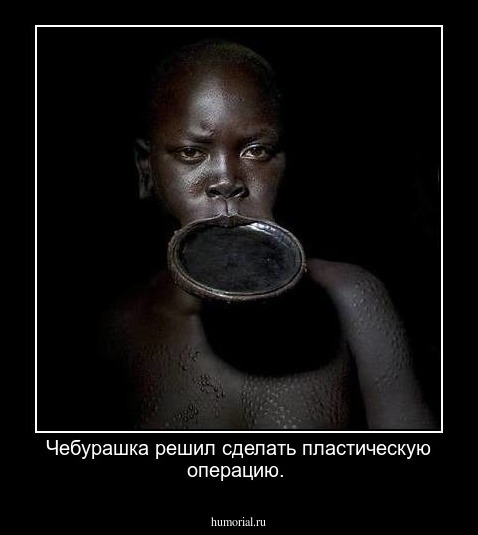 Чебурашка решил сделать пластическую операцию.
