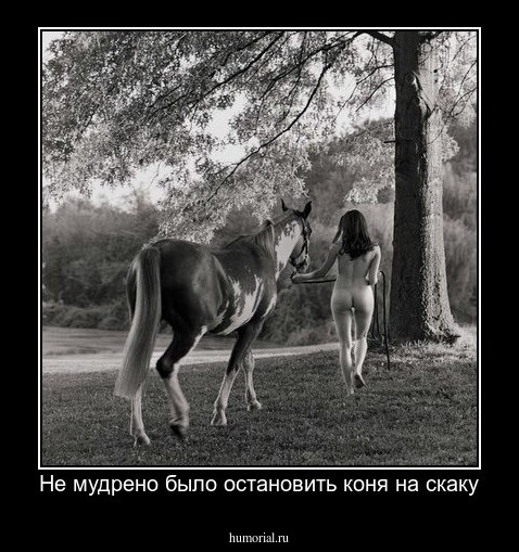 Не мудрено было остановить коня на скаку