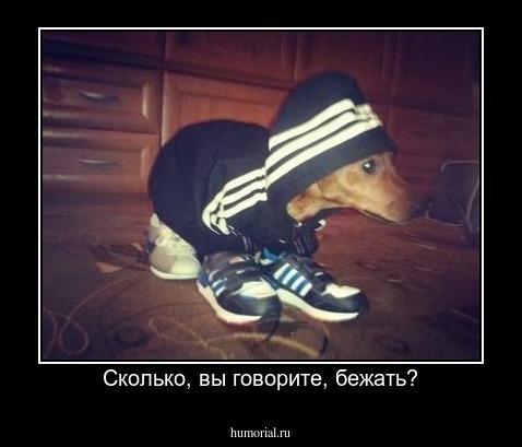 Сколько, вы говорите, бежать?