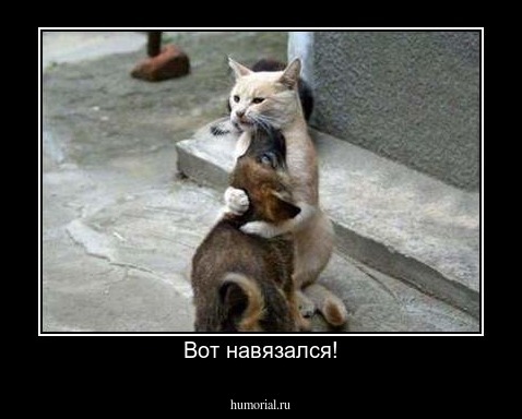 Вот навязался!