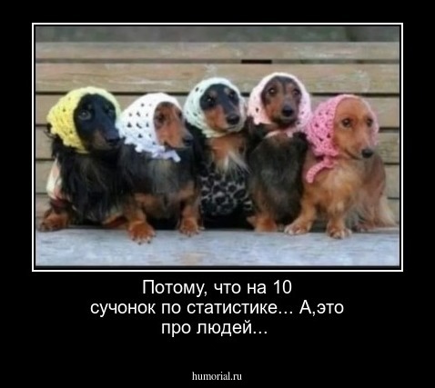 Потому, что на 10 сучонок по статистике...   А,это про людей...