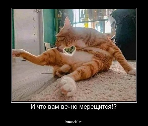 И что вам вечно мерещится!?