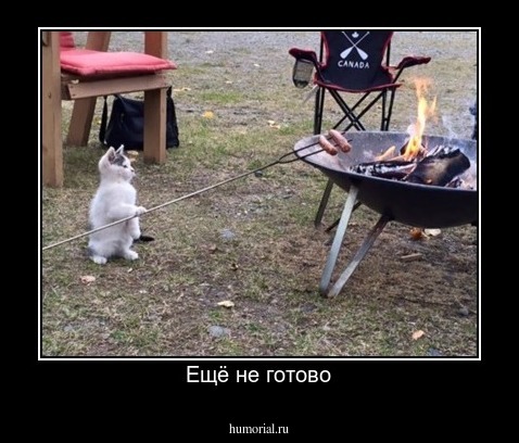 Ещё не готово