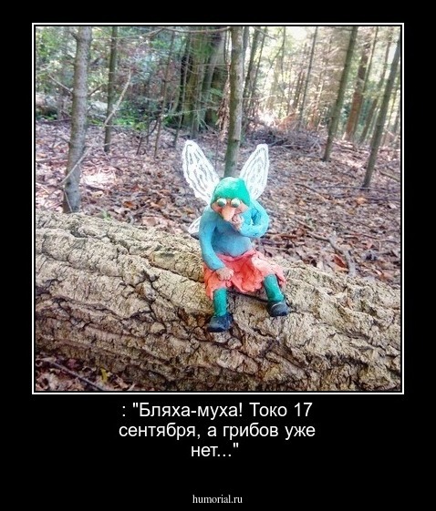: "Бляха-муха! Токо 17 сентября, а грибов уже нет..."