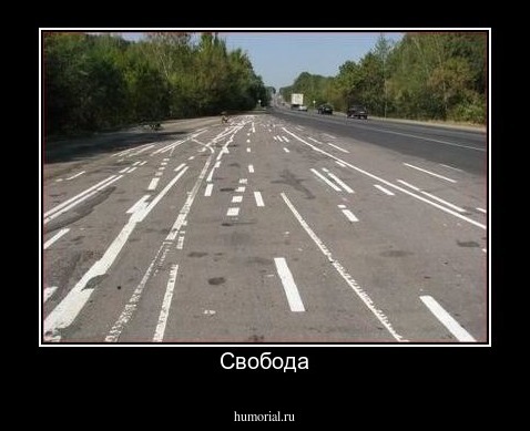 Свобода