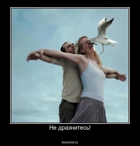 Не дразнитесь!