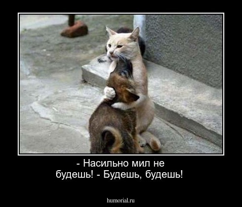 - Насильно мил не будешь! - Будешь, будешь!