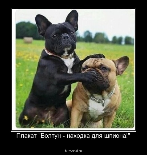 Плакат "Болтун - находка для шпиона!"