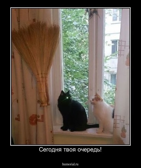 Сегодня твоя очередь!