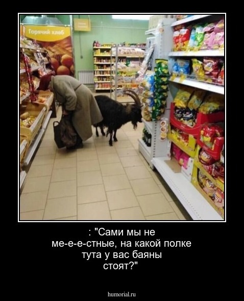 : "Сами мы не ме-е-е-стные, на какой полке тута у вас баяны стоят?"