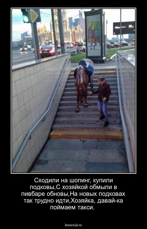 Сходили на шопинг, купили подковы,С хозяйкой обмыли в пивбаре обновы,На новых подковах так трудно идти,Хозяйка, давай-ка поймаем такси.
