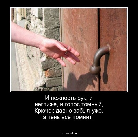 И нежность рук, и неглиже, и голос томный,
Крючок давно забыл уже, а тень всё помнит.