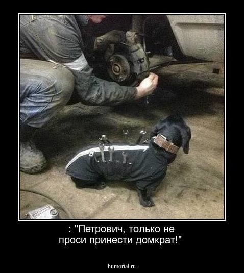  : "Петрович, только не проси принести домкрат!"
