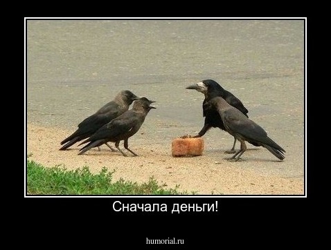Сначала деньги!