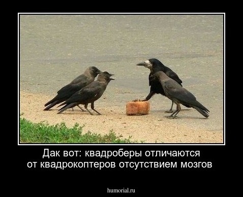 Дак вот: квадроберы отличаются от квадрокоптеров отсутствием мозгов