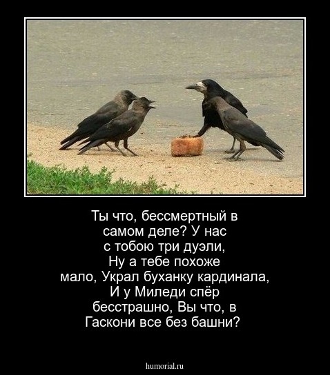Ты что, бессмертный в самом деле?  У нас с тобою три дуэли,   Ну а тебе похоже мало,    Украл буханку кардинала,      И у Миледи спёр бесстрашно,      Вы что, в Гаскони все без башни?