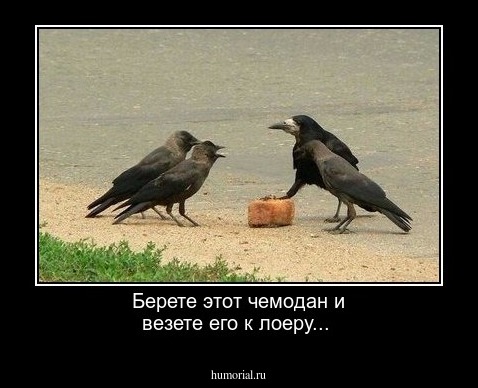 Берете этот чемодан и везете его к лоеру... 