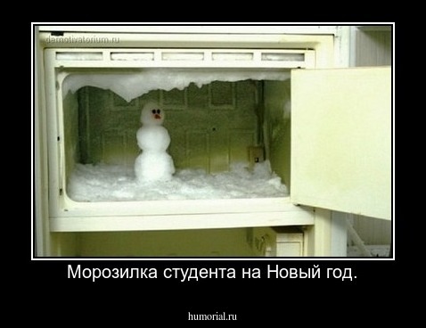 Морозилка студента на Новый год.