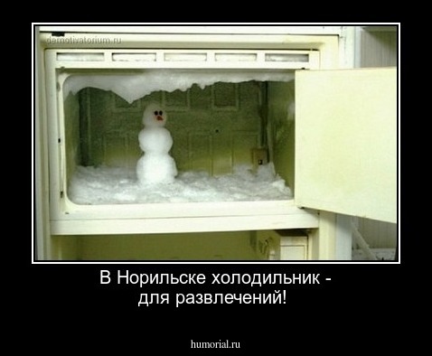 В Норильске холодильник - для развлечений!