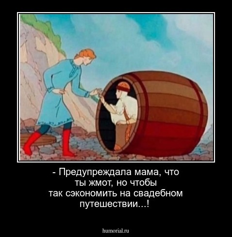 - Предупреждала мама, что ты жмот, но чтобы так сэкономить на свадебном путешествии...! 