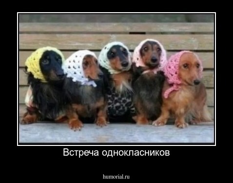 Встреча однокласников