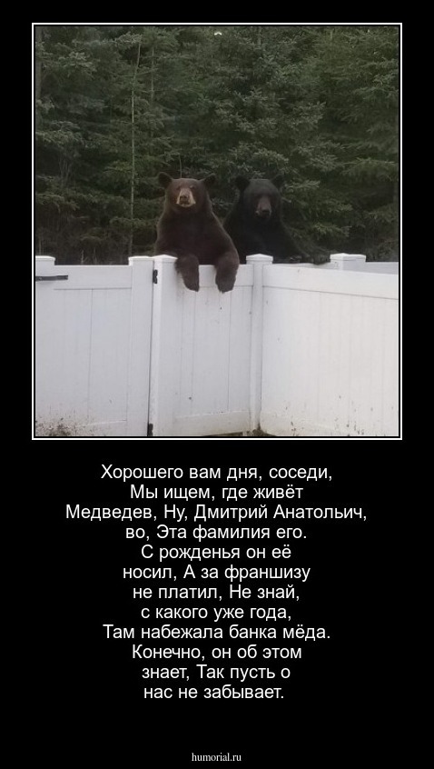 Хорошего вам дня, соседи,
Мы ищем, где живёт Медведев,
Ну, Дмитрий Анатольич, во,
Эта фамилия его.
С рожденья он её носил,
А за франшизу не платил,
Не знай, с какого уже года,
Там набежала банка мёда.
Конечно, он об этом знает,
Так пусть о нас не забывает.