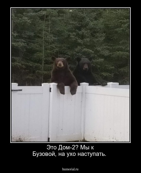 Это Дом-2? Мы к Бузовой, на ухо наступать. 