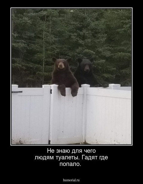 Не знаю для чего людям туалеты. Гадят где попало.