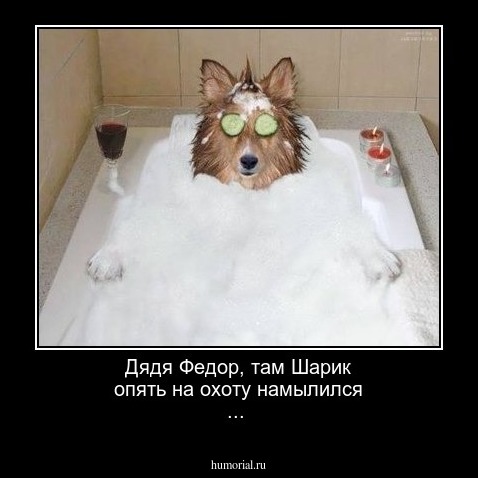 Дядя Федор, там Шарик опять на охоту намылился ...