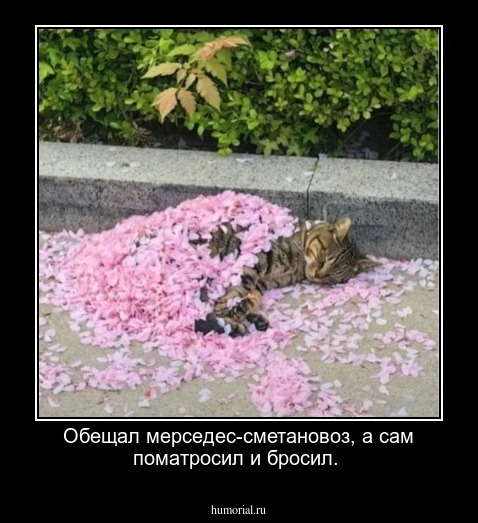 Обещал мерседес-сметановоз, а сам поматросил и бросил.