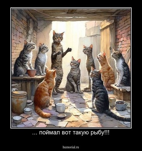 ... поймал вот такую рыбу!!!