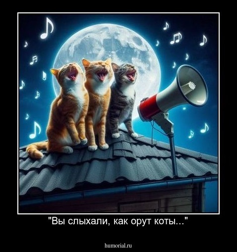 "Вы слыхали, как орут коты..."