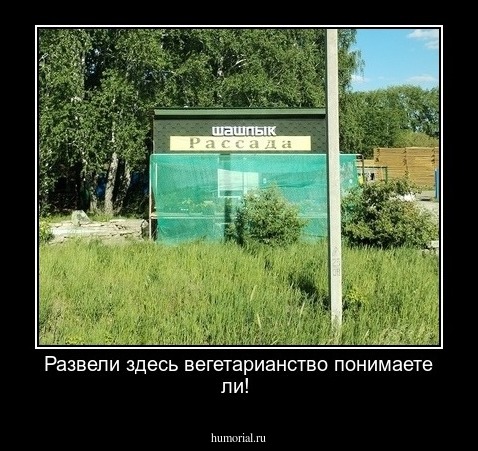 Развели здесь вегетарианство понимаете ли!