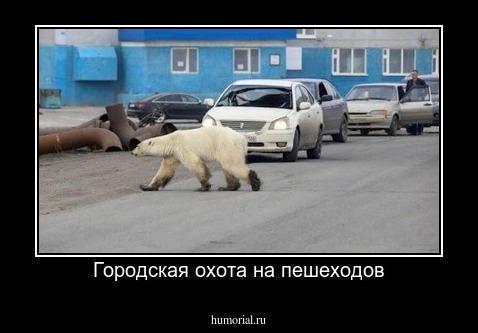 Городская охота на пешеходов