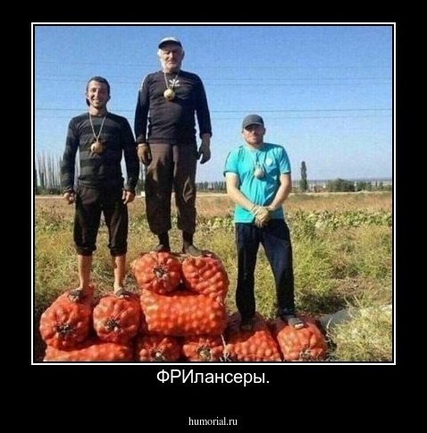 ФРИлансеры.