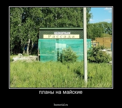 планы на майские