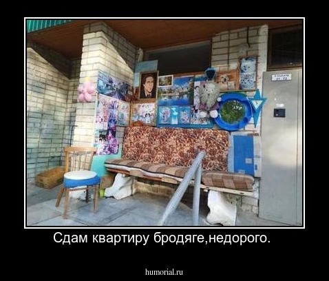 Сдам квартиру бродяге,недорого. 