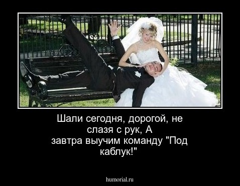  Шали сегодня, дорогой, не слазя с рук,
    А завтра выучим команду  "Под каблук!"