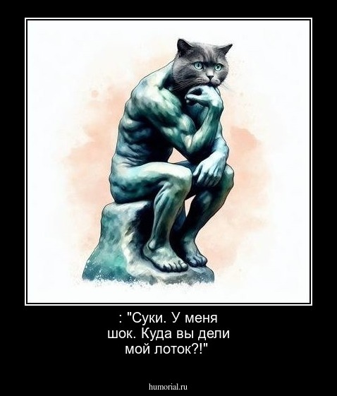 : "Суки. У меня шок. Куда вы дели  мой лоток?!"