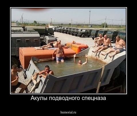 Акулы подводного спецназа