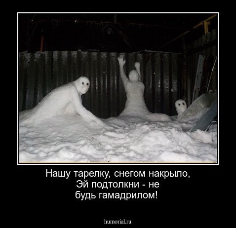 Нашу тарелку, снегом накрыло,
Эй подтолкни - не будь гамадрилом!