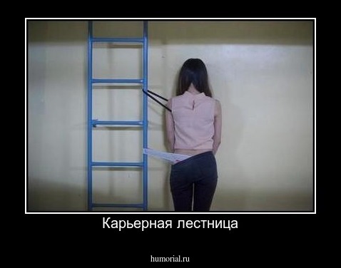 Карьерная лестница