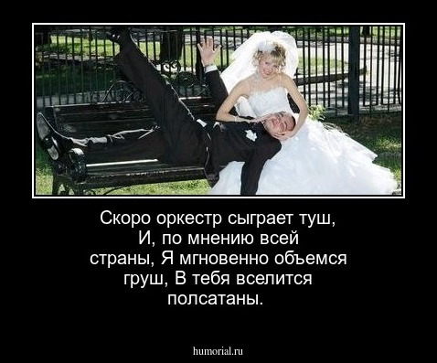 Скоро оркестр сыграет туш,
И, по мнению всей страны,
Я мгновенно объемся груш,
В тебя вселится полсатаны.